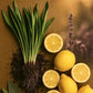 Soy Candle | 40hr | Citronella & Lavender Algarve candle company