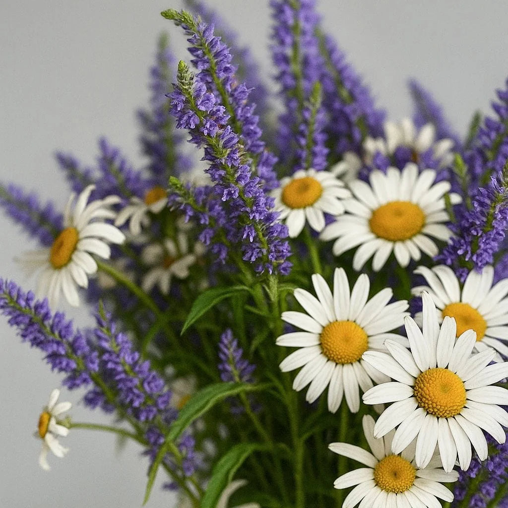 Luxury Reed Diffuser - Chamomile & Lavender