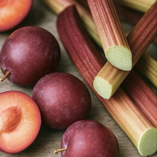 Luxury Reed Diffuser - Dark Plum & Rhubarb