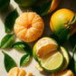Luxury Reed Diffuser - Lime, Basil & Mandarin